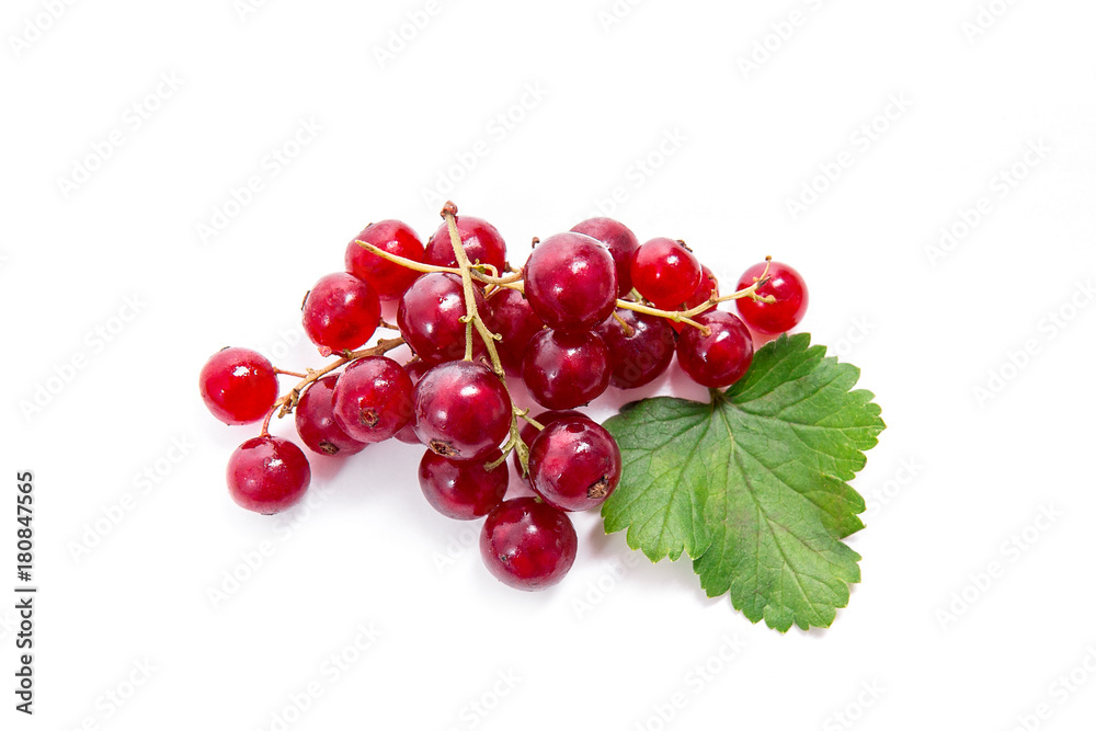 Red currant berry isolated on white. A bunch of red currant.. Red currant berry isolated on white. A bunch of red currant..