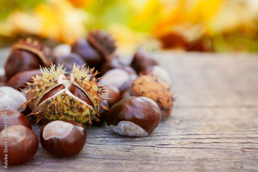 Chestnuts on wooden background