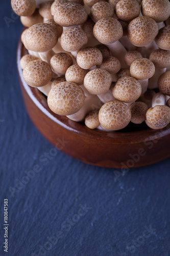 Shimeji mushroom © matka_Wariatka