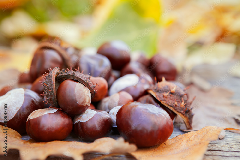 Different size of chestnuts on wooden background Different size of chestnuts on wooden background