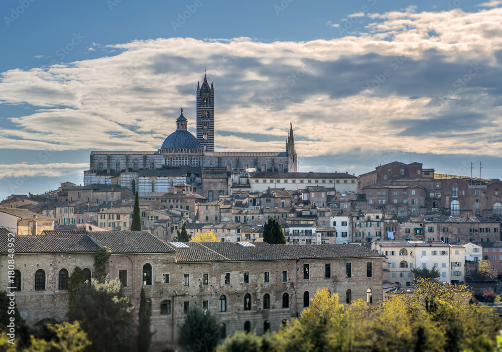 view of Santa Maria catedral,Siena, Tuscany, Italy