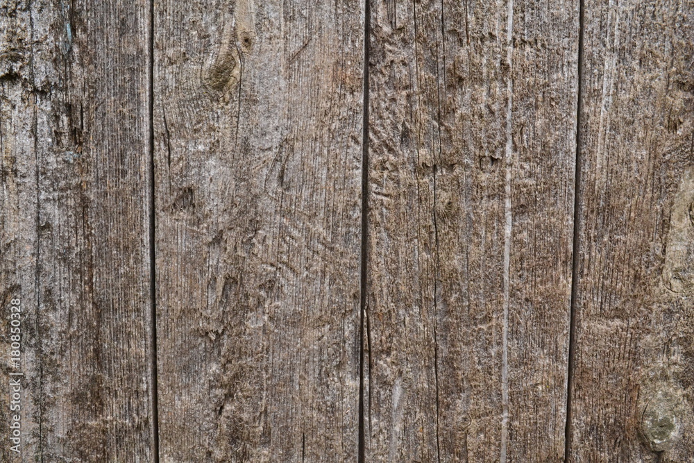 texture plank tree texture plank tree