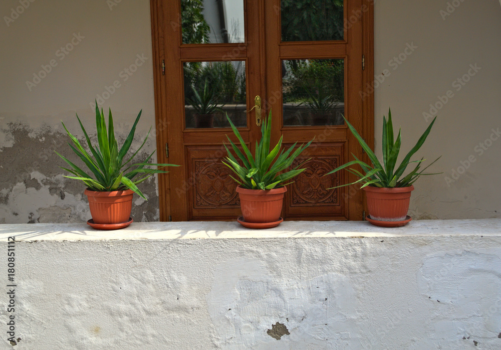 Three plants in flowerpots on shelf in front of the door