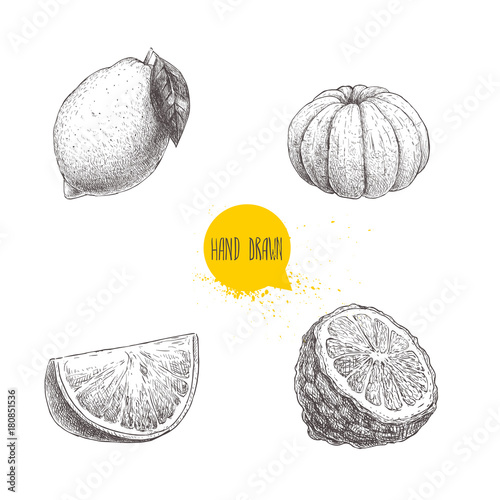 Hand drawn sketch style citrus fruits set. Lemon, lime, peeled tangerine, mandarine, orange slice and bergamot half. Vector  illustration isolated on white background.