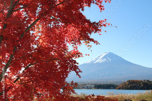 富士山と紅葉（Mt. Fuji and autumn leaves)