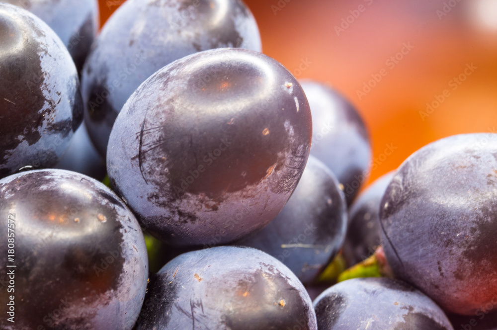 Berry blue wine grapes on a red saucer Berry blue wine grapes on a red saucer