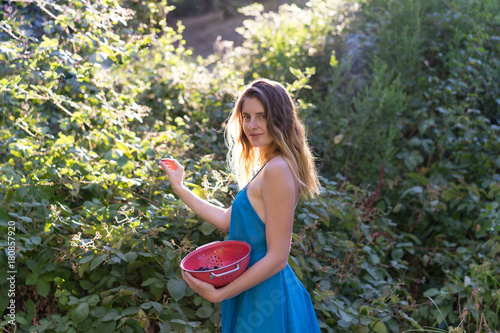 Girl picking berries in backyard photo