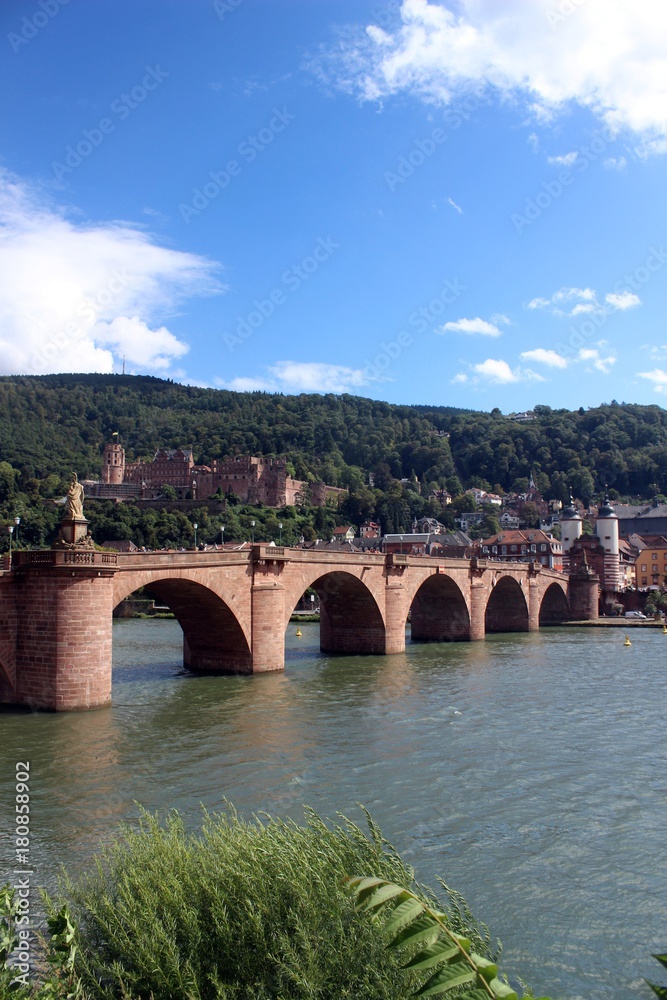 General view of Heidelberg, Germany.