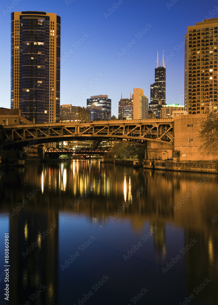 Obraz premium Skyscrapers along Chicago River