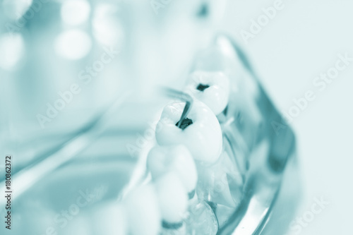 Dental teeth dentist model