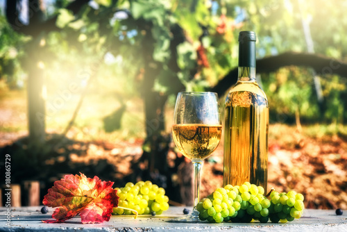 Bottle and full glass of white wine over vineyard background. Wine tasting concept