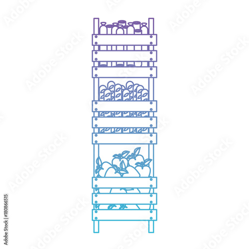 supermarket wooden shelf of three levels with sausages breads and apples in degraded purple to blue color contour