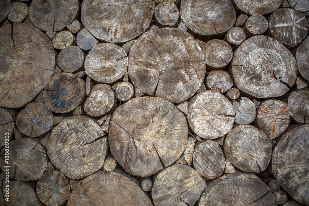 Picture of wall from sawn wooden round logs Picture of wall from sawn wooden round logs