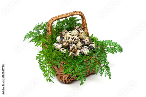 basket with quail eggs isolated on white background