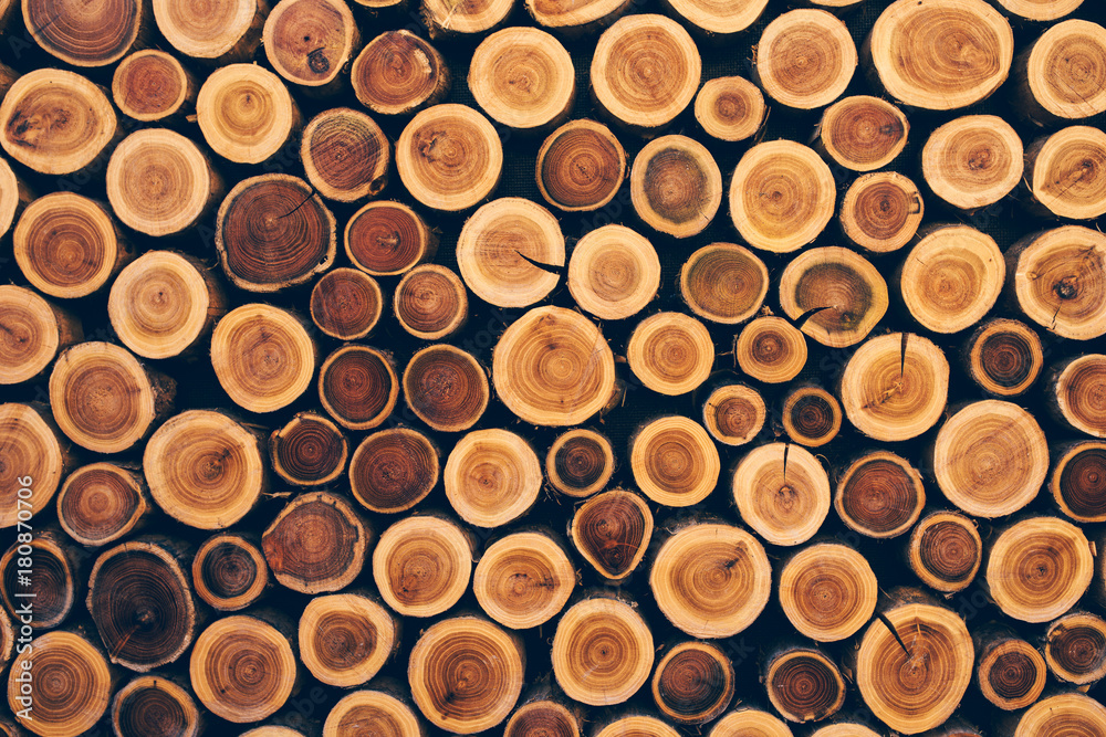 Stacked wood logs as texture - obrazy, fototapety, plakaty 
