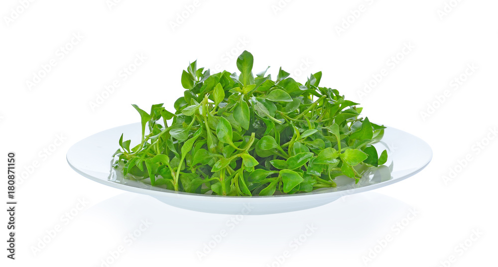 watercress on white background watercress on white background