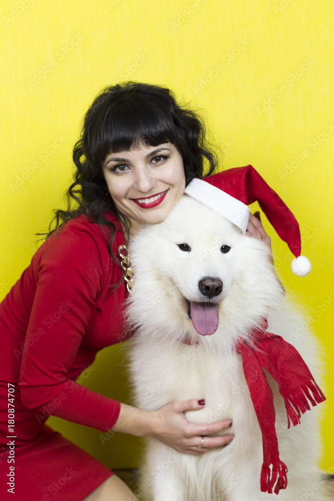 Beautiful girl hugs dog. A beautiful brunette and a big white dog with a scarf and a New Year's cappack on a yellow background Beautiful girl hugs dog. A beautiful brunette and a big white dog with a scarf and a New Year's cappack on a yellow background