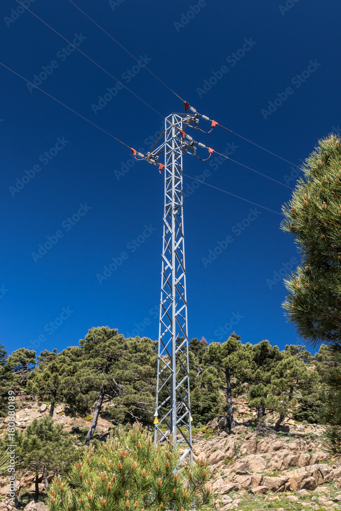 Obraz premium Electric pylon