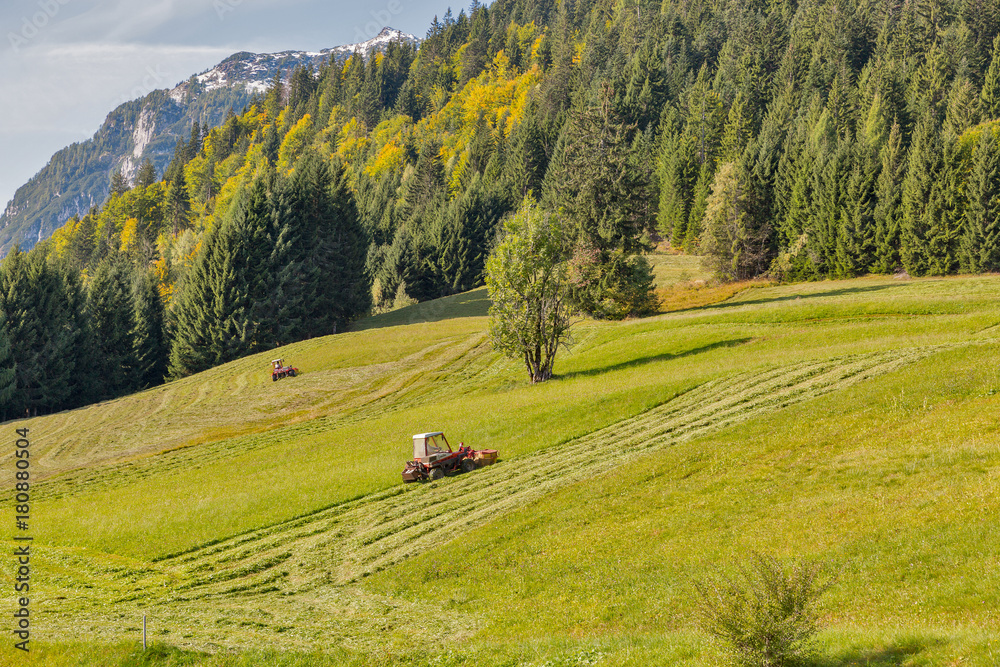 Obraz premium tractor mowing grass on an alpine lawn