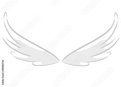 Cartoon set of cartoon wings. Two pair. Contour and painted ornament