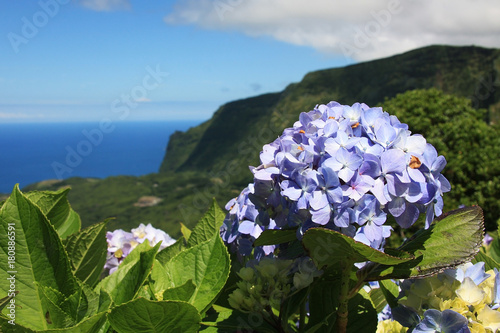 Im Landesinneren der Insel Flores, der  Insel der portugiesischen Inselgruppe der Azoren im Atlantik. 