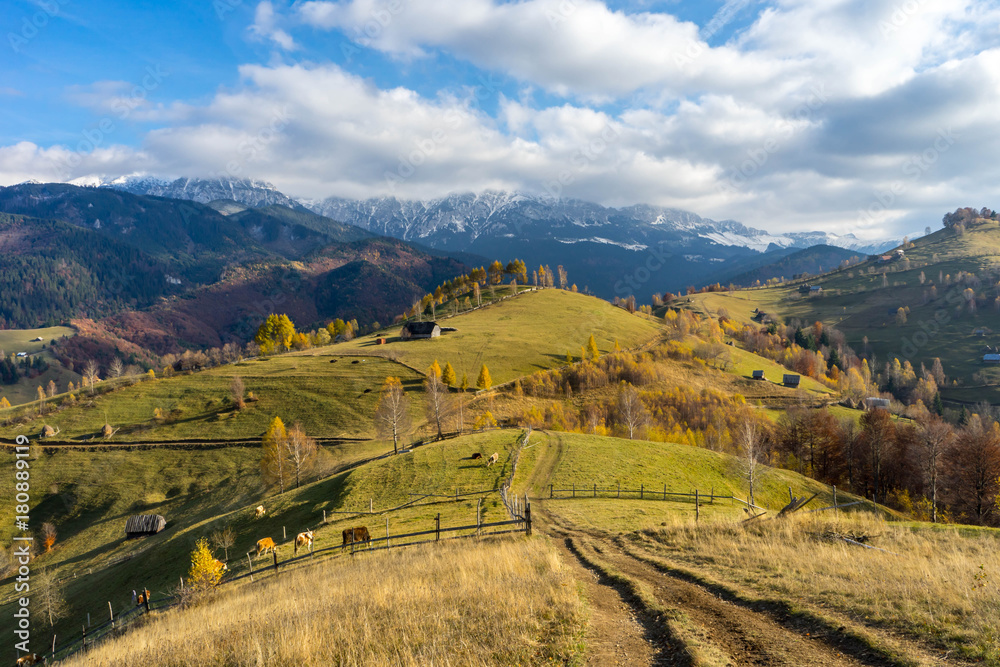 Naklejka premium Autumn in Moeciu village, Transylvania, Romania