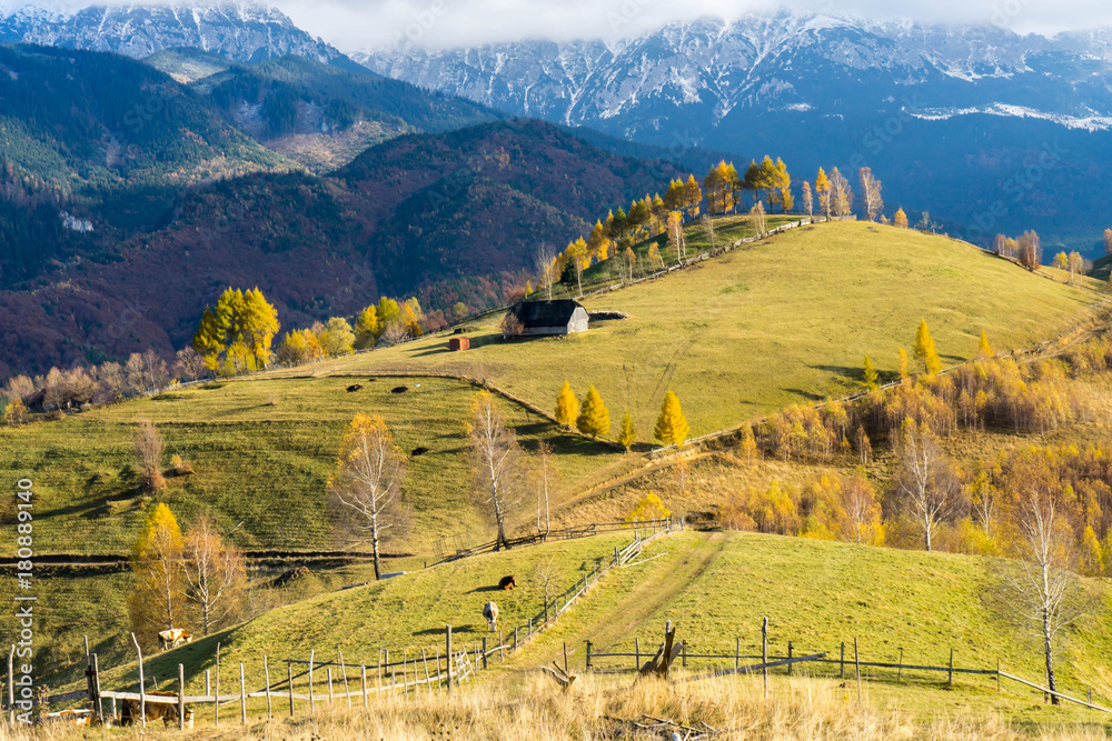 Autumn in Moeciu village, Transylvania, Romania