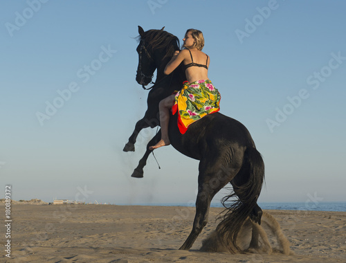 horse woman and her black stallion rearing on the beach