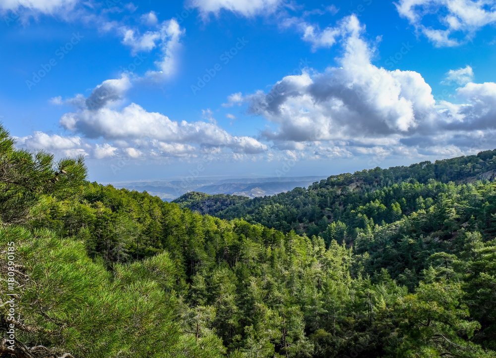 Spring view from  top of Troodos Mountain.