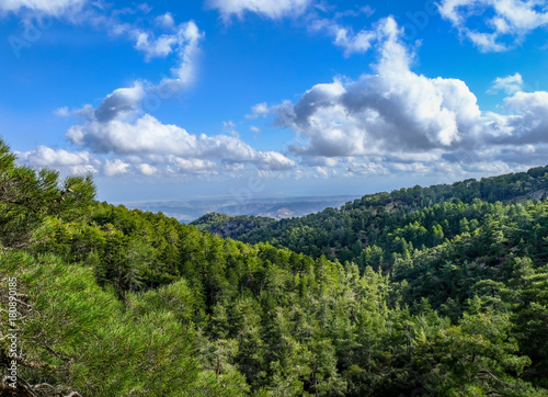 Spring view from top of Troodos Mountain.