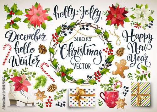 Christmas set design composition of poinsettia, fir branches, cones, holly and other plants. Cover, invitation, banner, greeting card. Vector illustration.