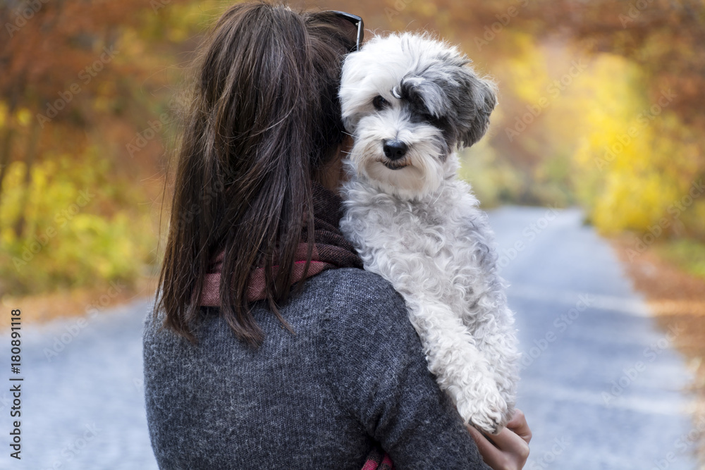 woman  traveling in the autumn mountain with her dog