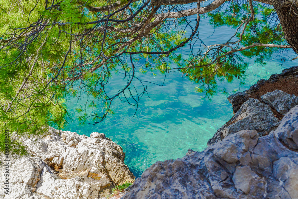 The sea view. Stony beach with pine trees. View from above The sea view. Stony beach with pine trees. View from above