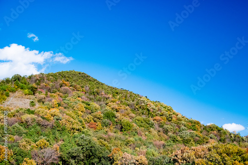 秋の里山が青い空を背景に色づく晴天の日の風景