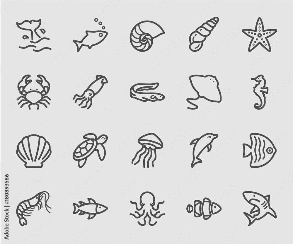 Sea animal line icon
