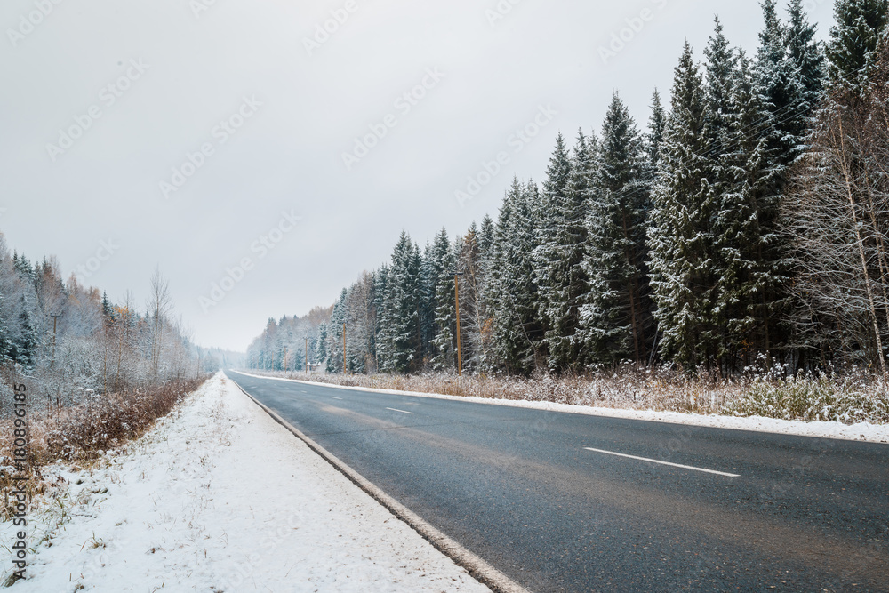 Obraz premium Road through the winter forest