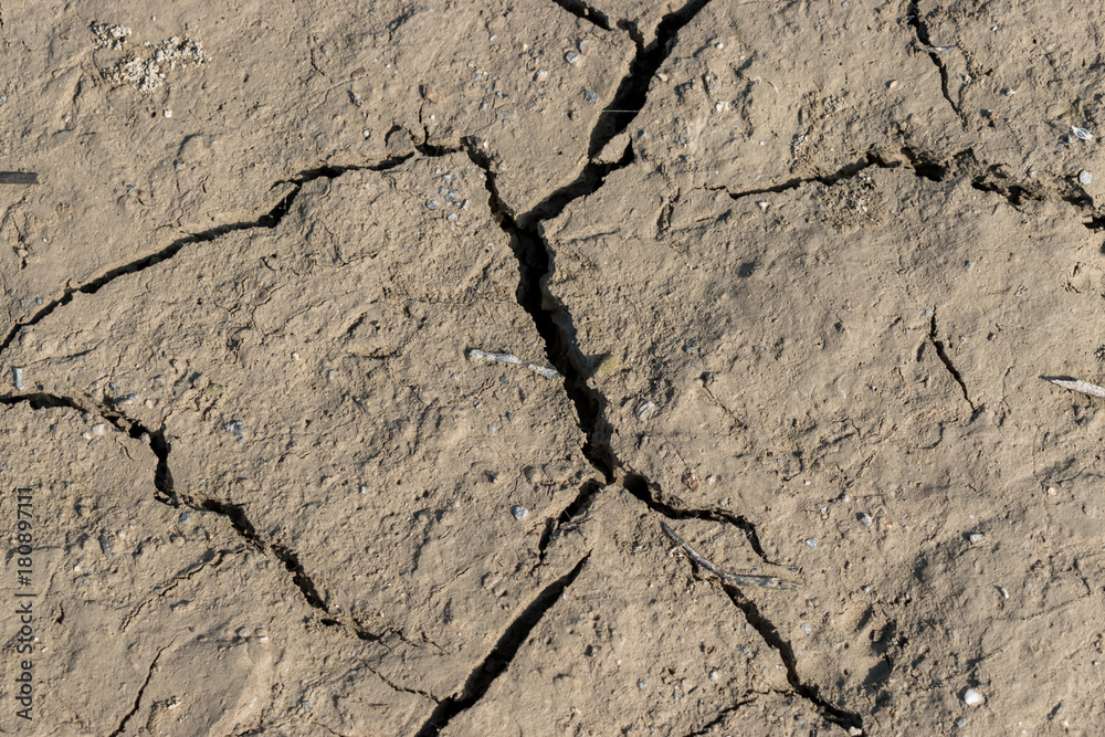 Dry cracked earth background Dry cracked earth background