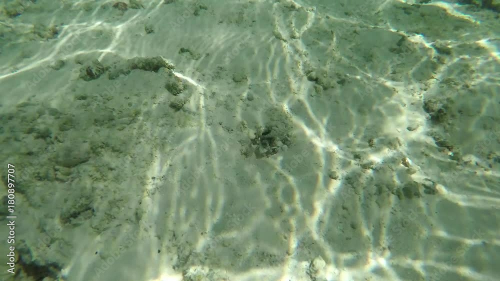 Go Pro point of view of a jawfish ñguardingî an underwater burrow with a langoustine/lobster pushing out sand from the burrow. POV. 2 of 4 Go Pro point of view of a jawfish ñguardingî an underwater burrow with a langoustine/lobster pushing out sand from the burrow. POV. 2 of 4