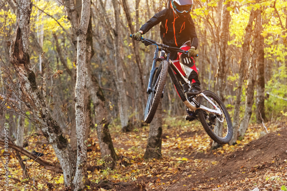 a young rider at the wheel of his mountain bike makes a trick in jumping on the springboard of the downhill mountain path in the autumn forest