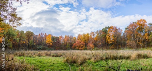 Fall color panorama