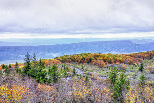 Morning dark sunrise with blue sky and golden yellow orange autumn foliage in Dolly Sods, Bear Rocks, West Virginia with overlook of mountain valley, clouds