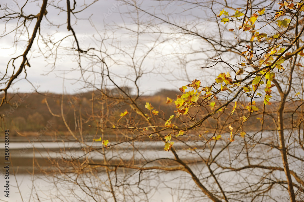 Beautiful autumn landscape and the maple branch on the foreground Beautiful autumn landscape and the maple branch on the foreground