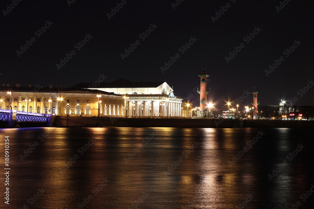 Saint Petersburg in the night