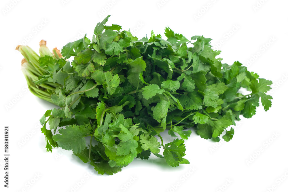 parsley and coriander bunch tied with ribbon isolated on white background parsley and coriander bunch tied with ribbon isolated on white background