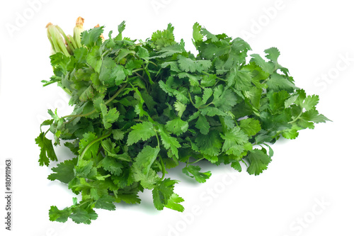 parsley and coriander bunch tied with ribbon isolated on white background