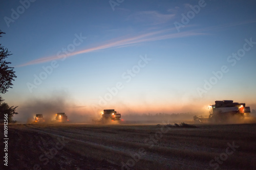 harvesting wheat farm harvester