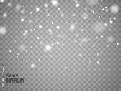 Snow overlay on transparent background. Vector falling snowflakes isolated.