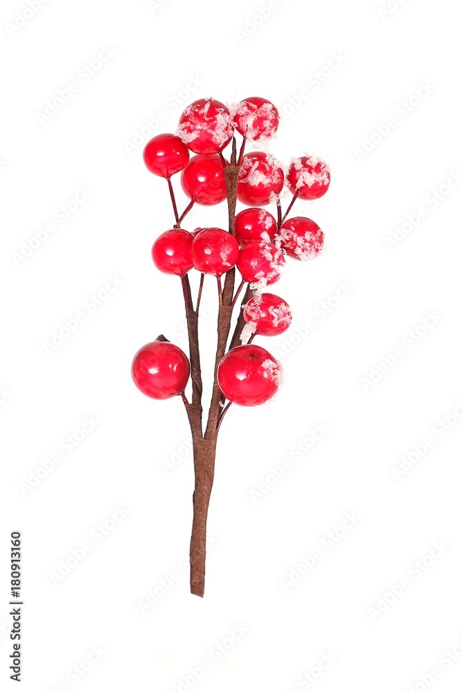Christmas decorations: a branch of a Christmas tree branch with berries under the snow Christmas decorations: a branch of a Christmas tree branch with berries under the snow