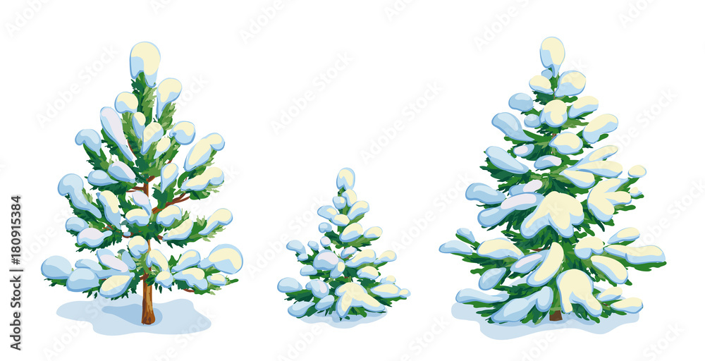 Little snow-covered pine tree and two fir trees. Vector dwawing