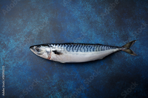 Raw mackerel fish with ingredients for cooking on a blue concrete or stone background. Selective focus. Top view.